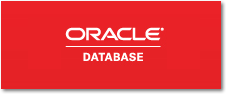 ORACLE データベース構築ソリューション