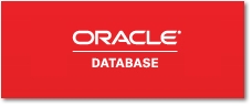 ORACLE データベース構築ソリューション